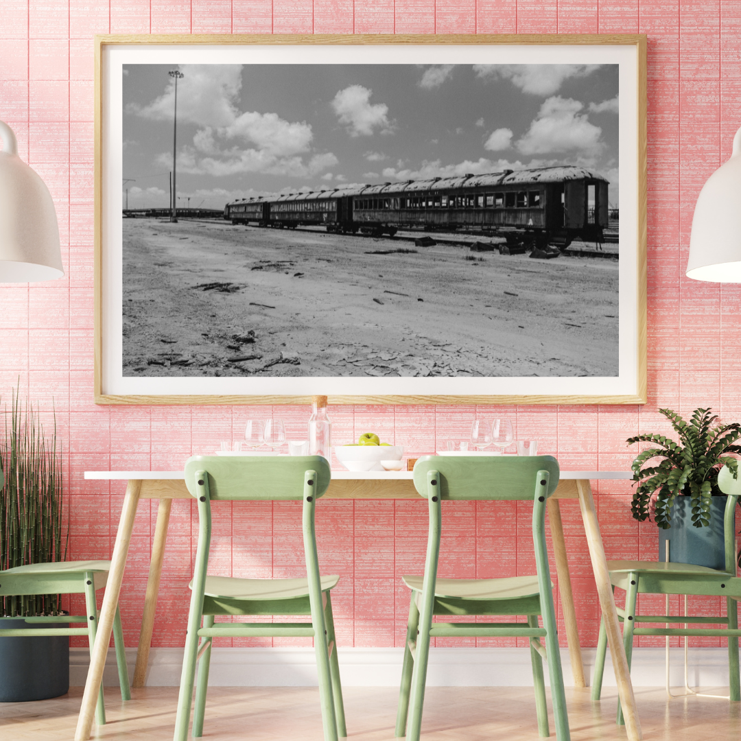A framed photograph of a black and white train hanging in a living room
