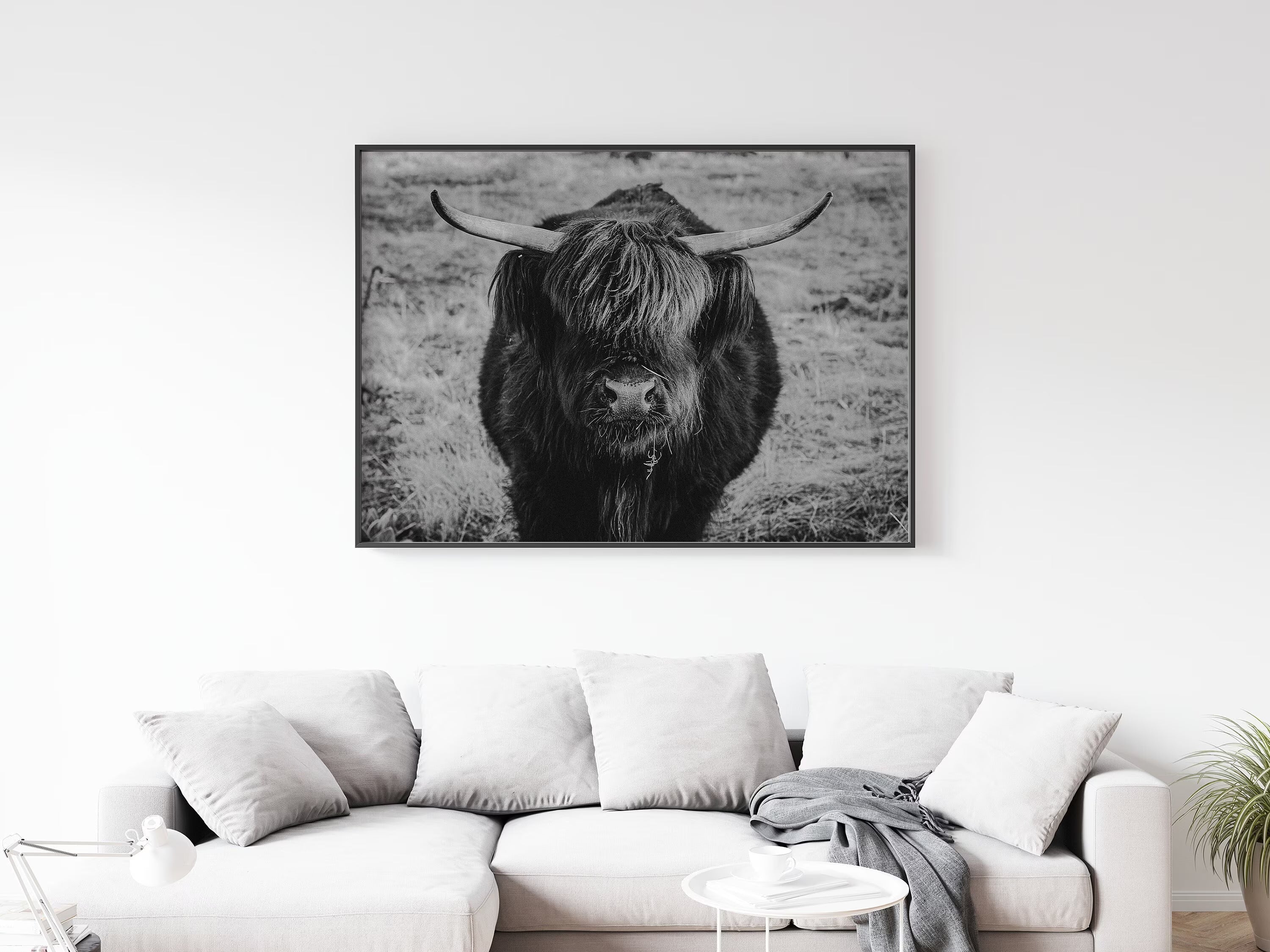 Fine Art Photography: Elevate Your Space with Timeless Visuals