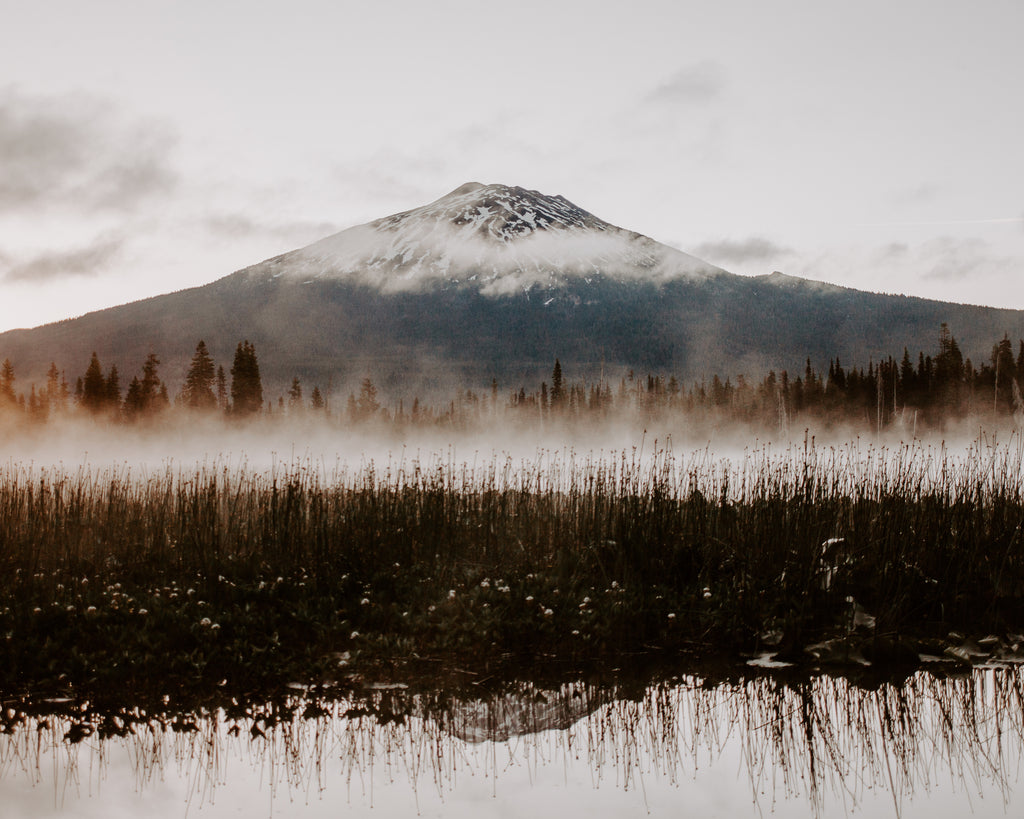 Mountain with snow cap behind a misty lake and reeds