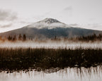 Mountain with snow cap behind a misty lake and reeds