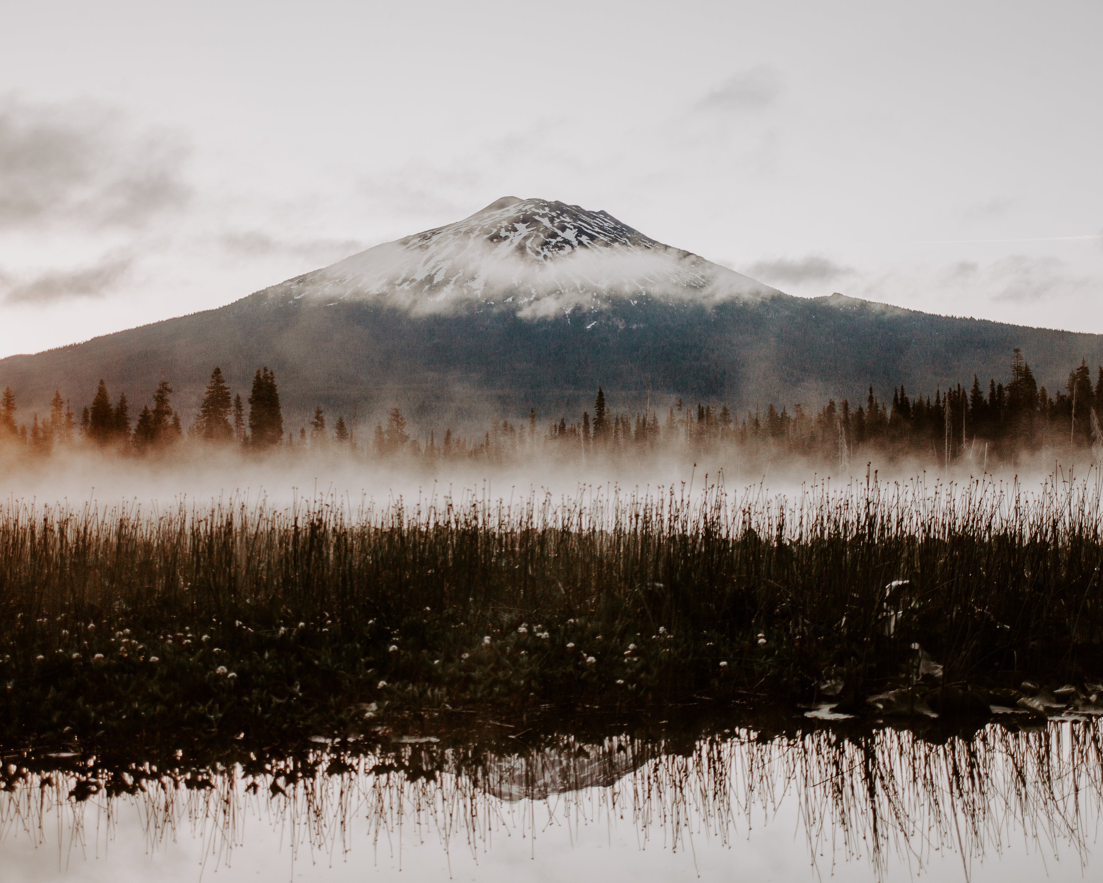 Mountain with snow cap behind a misty lake and reeds