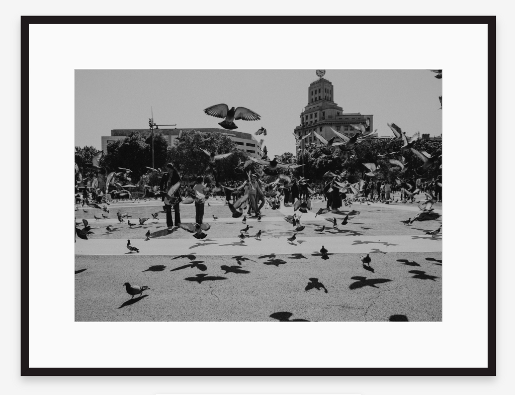 In Flight | Black + White Fine Art Photography Print