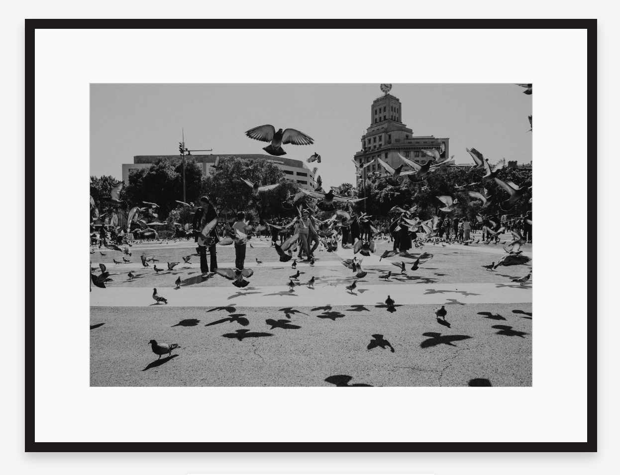 In Flight | Black + White Fine Art Photography Print