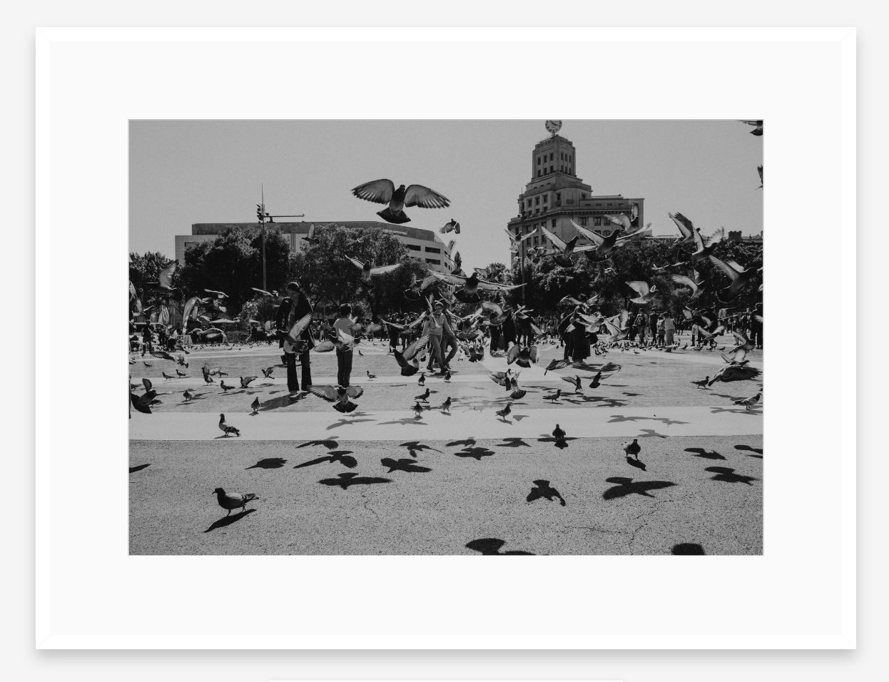 In Flight | Black + White Fine Art Photography Print