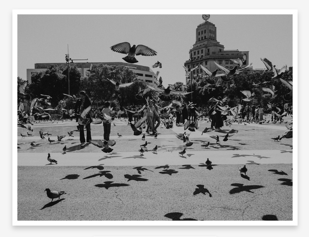 In Flight | Black + White Fine Art Photography Print
