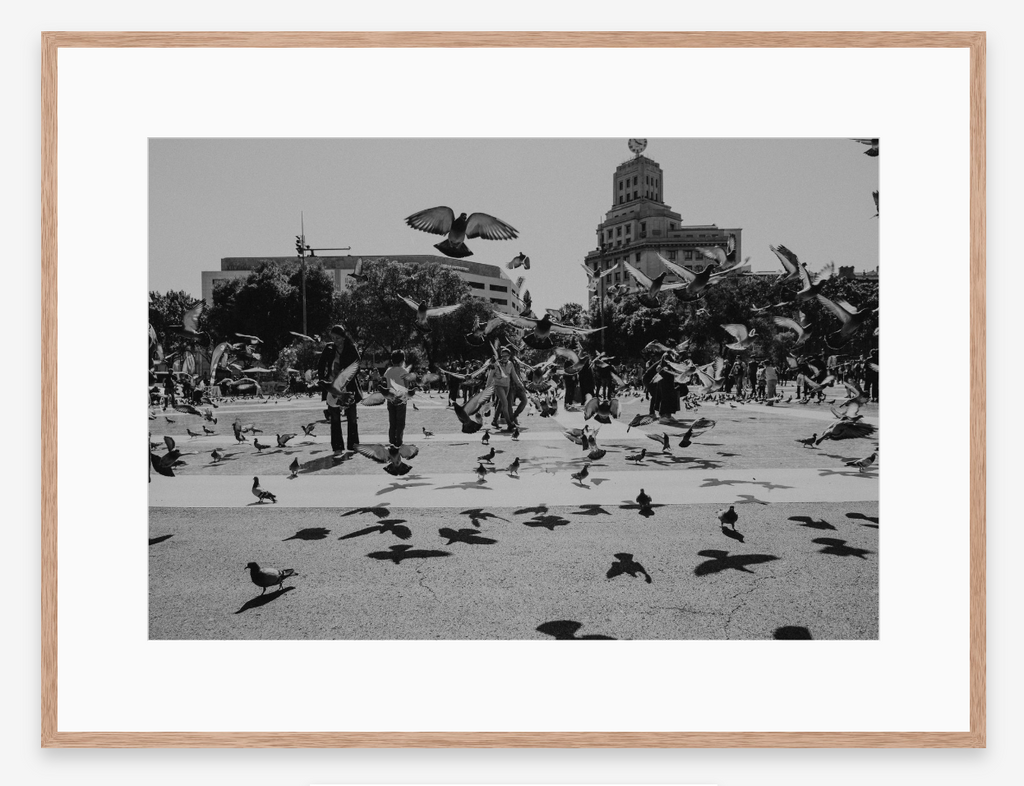 In Flight | Black + White Fine Art Photography Print