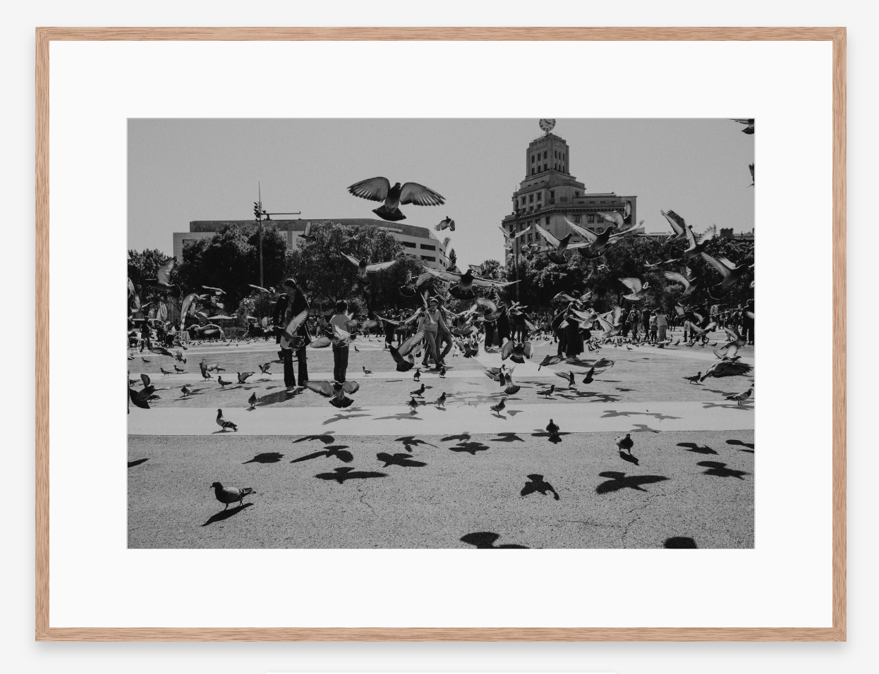 In Flight | Black + White Fine Art Photography Print